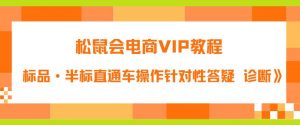 松鼠会电商VIP教程:松鼠《付费推广标品·半标直通车操作针对性答疑&诊断》-一点通资源网