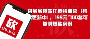 拼多多爆款打造特训营(持续更新中),199元*100套可复制爆款案例-一点通资源网