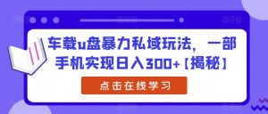 车载u盘暴力私域玩法,一部手机实现日入300+【揭秘】-一点通资源网