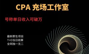cpa充场工作室，号称单日收入10000+（揭秘）-一点通资源网