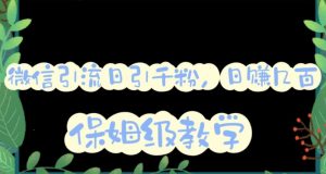 微信互推圈半自动引流方案,矩阵操作日引千人思路【详细视频教程】-一点通资源网