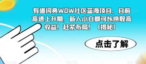 有道词典WOW社区蓝海项目，目前高速上升期，新人小白都可以换取高收益！赶紧布局！【揭秘】-一点通资源网