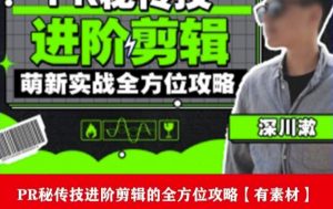 PR进阶剪辑培训班,让你快速成为剪辑大师12节视频课程+素材!-一点通资源网