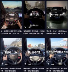 抖音开车视频项目，0基础操作，每天五分钟，月入1W+【揭秘】-一点通资源网