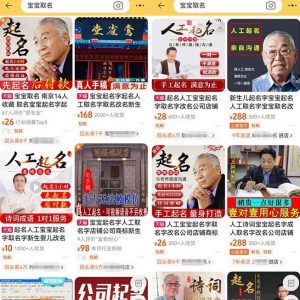 拆解小红书宝宝起名虚拟副业项目,一条龙实操玩法分享给你(教程+软件)-一点通资源网