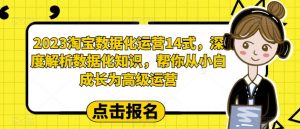 2023淘宝数据化运营14式,深度解析数据化知识,帮你从小白成长为高级运营-一点通资源网