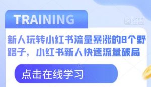 新人玩转小红书流量暴涨的8个野路子，小红书新人快速流量破局-一点通资源网