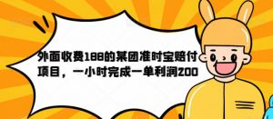 外面收费188的美团准时宝赔付项目,一小时完成一单利润200【仅揭秘】-一点通资源网