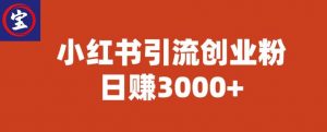 宝哥小红书引流创业粉，日赚3000+【揭秘】-一点通资源网