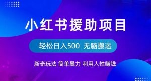 小红书援助项目新奇玩法，简单暴力，无脑搬运轻松日入500【揭秘】-一点通资源网