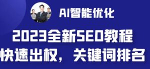 2023最新网站AI智能优化SEO教程,简单快速出权重,AI自动写文章+AI绘画配图-一点通资源网