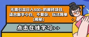 无需引流日入300+的搬砖项目，适合新手小白，不复杂、玩法简单【揭秘】-一点通资源网