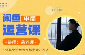 岳老师·闲鱼电商运营课，让每个粉丝宝宝都学会开网店-一点通资源网