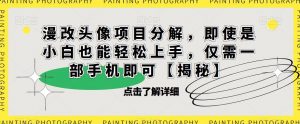 漫改头像项目分解，即使是小白也能轻松上手，仅需一部手机即可【揭秘】-一点通资源网