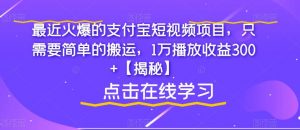 最近火爆的支付宝短视频项目，只需要简单的搬运，1万播放收益300+【揭秘】-一点通资源网