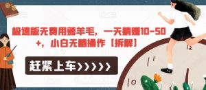 极速版无费用薅羊毛，一天躺赚10-50+，小白无脑操作【拆解】-一点通资源网