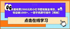 外面收费2980元的小红书壁纸掘金项目，单日收益破1000+，一部手机即可操作【揭秘】-一点通资源网