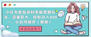 小红书虚拟资料全新思路玩法,流量巨大,轻松日入300+,小白可操作【揭秘】-一点通资源网