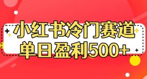 小红书冷门赛道，单日盈利500+【揭秘】-一点通资源网