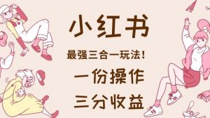 小红书最强三合一玩法,一份操作获得三份收益!【揭秘】-一点通资源网