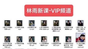 林雨新课VIP频道，玩赚私域/朋友圈/社群-一点通资源网