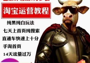 猫老师·淘系算法逆向解密,纯黑纯白玩法,七天上首页纯搜索,手淘首页14天流量过万-一点通资源网
