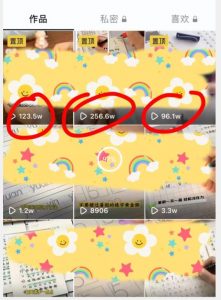 被忽视的冷门项目，随便写写字都能实现月入过万，每天半小时，适合0基础，手机可做【揭秘】-一点通资源网