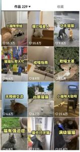 拆解：抖音盘点类中视频变现副业项目，视频版一条龙大解析分享给你-一点通资源网