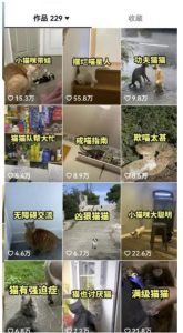 拆解抖音盘点类中视频变现副业项目，视频版一条龙大解析分享给你【视频课程】-一点通资源网