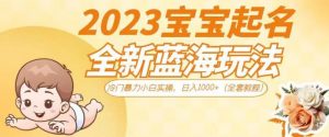 抖音美女图文+音乐推广5.0版本,单日单号500+,0本0粉可矩阵,五分钟一个视频【揭秘】-一点通资源网
