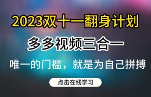 2023双十一翻身计划，多多视频带货三合一玩法教程【揭秘】-一点通资源网