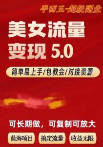 TK美女短视频变现项目无限复制（升级版），全网最高性价比项目【揭秘】-一点通资源网