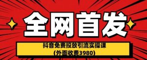 全网首发：抖音免费投放引流实操课(外面收费3980)【揭秘】-一点通资源网