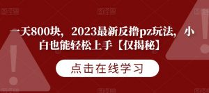 一天800块,2023最新反撸pz玩法,小白也能轻松上手【仅揭秘】-一点通资源网
