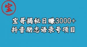 宝哥揭秘日赚3000+抖音励志语录号短视频变现项目-一点通资源网