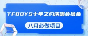 最新蓝海项目,靠最近非常火的TFBOYS十年之约演唱会流量掘金,八月必做的项目【揭秘】-一点通资源网
