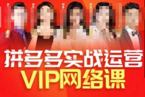 推易拼多多VIP全套直播课程，拼多多店铺实操玩法+实战玩法选款内功+直通车高阶等-一点通资源网