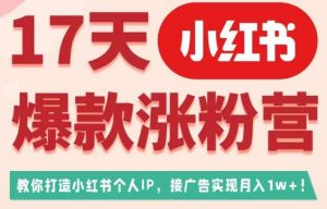 17天小红书爆款涨粉营(广告变现方向),教你打造小红书博主IP、接广告变现的-一点通资源网