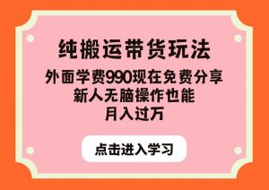 纯搬运带货玩法,外面学费990现在免费分享,新人无脑操作也能月入过万【揭秘】-一点通资源网