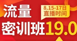 秋秋线上流量密训班19.0,打通流量关卡,线上也能实战流量破局-一点通资源网