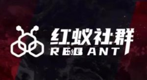 社群运营:红蚁社群【48节落地系统课程+2000人高端社群】-一点通资源网