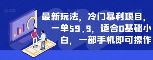 最新玩法，冷门暴利项目，一单59.9，适合0基础小白，一部手机即可操作【揭秘】-一点通资源网