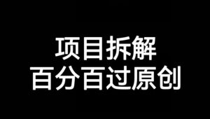 项目拆解赛道百分百过原创【揭秘】-一点通资源网