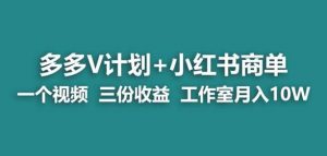 【蓝海项目】多多v计划+小红书商单一个视频三份收益工作室月入10w-一点通资源网