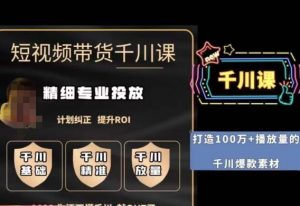 短视频带货-千川专业投放课，​精细化专业投放，计划纠正，提升ROI-一点通资源网