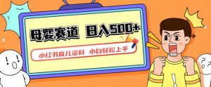 小红书育儿资料,一部手机可操作,多种变现方式,日入500+,私域变现,长期可持续项目【揭秘】-一点通资源网