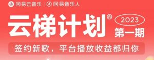2023年8月份网易云最新独家挂机技术，真正实现挂机月入5000【揭秘】-一点通资源网