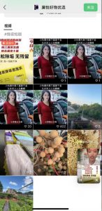 外面收费198的最新视频号连怼技术,条条原创,条条爆单【揭秘】-一点通资源网