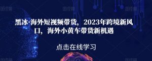 黑冰·海外短视频带货,2023年跨境新风口,海外小黄车带货新机遇-一点通资源网