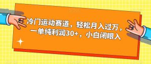 冷门运动赛道,轻松月入过万,一单纯利润30+,小白闭眼入【揭秘】-一点通资源网